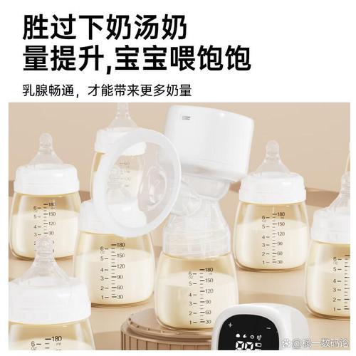 「電動(dòng)吸奶器推薦」2026年高性?xún)r(jià)比電動(dòng)吸奶器十大品牌排行榜,哪個(gè)